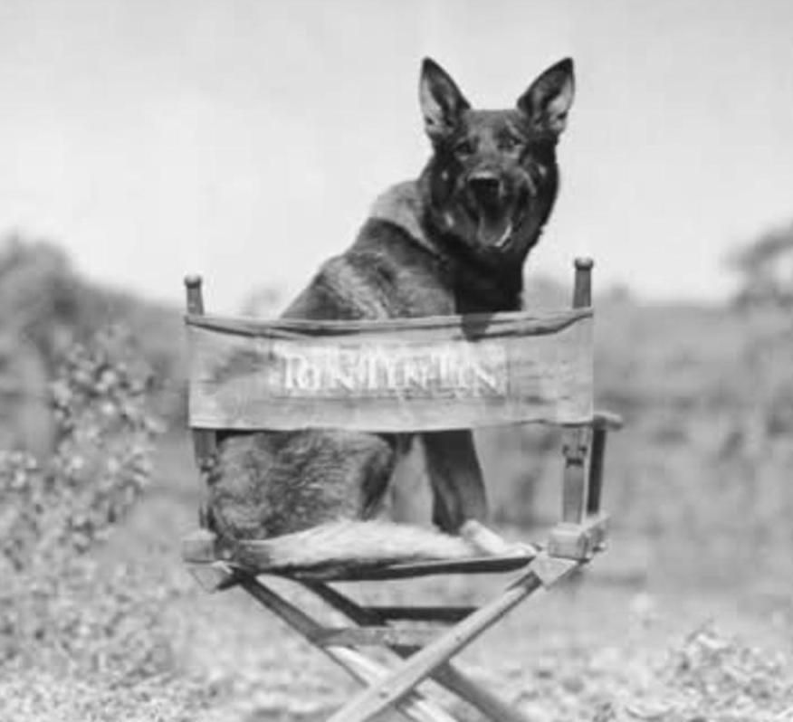 Question of the Week